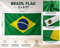 Brazil Flag